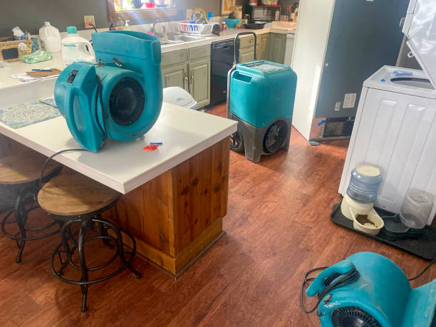 Professional Water damage restoration in Mickleton, NJ