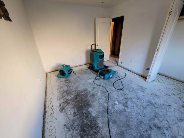 Best Local water damage restoration  in Mickleton, NJ