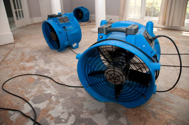 Best Flood restoration services  in Mickleton, NJ