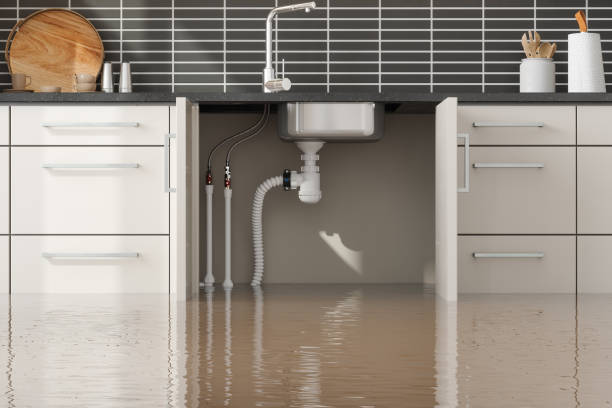 Best Mold removal after water damage  in Mickleton, NJ