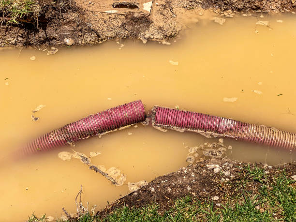 Best Emergency water damage restoration  in Mickleton, NJ
